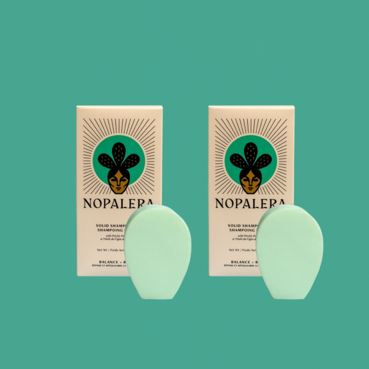 Two Nopalera solid shampoo bars on a teal background